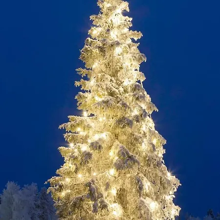 Appartement Levin Kalle *